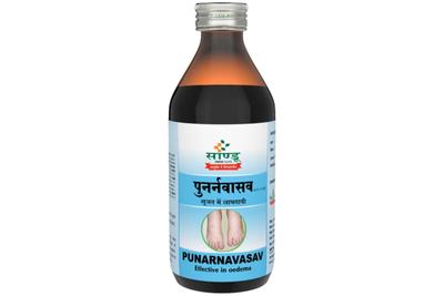 PUNARNAVASAV