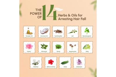 TRICHUP HAIR FALL CONTROL OIL