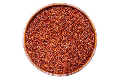 Ragi Millet (नाचणी मिलेट)