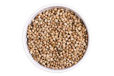 Himalayan Hemp Seed