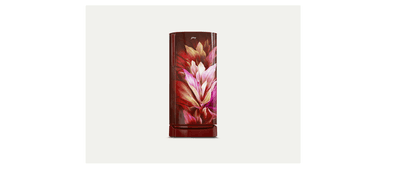 Godrej RD ERIOPLS 205CN THF AZ WN Single Door 52141501SD03960