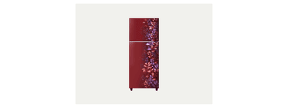 Godrej RT EONALPHA 250BN RI AR WN 52141501SD03860 