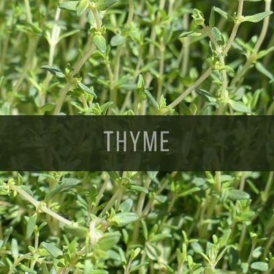 Dried Thyme, Zero Pesticides, Caffeine Free