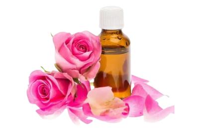 Fragrance Radient Rose