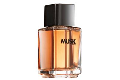 Fragrance Wood Musk