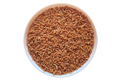 Khapli Wheat