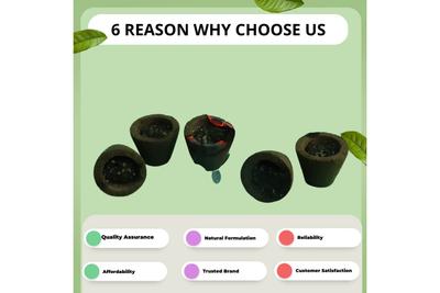 Panchgavya Vastu Samruddhi Dhoop cup