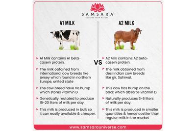 Samsara A2 Gir Cow Ghee