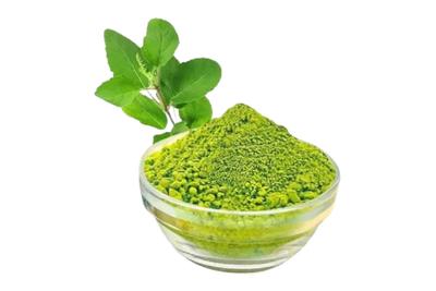 Tulsi Green Tea