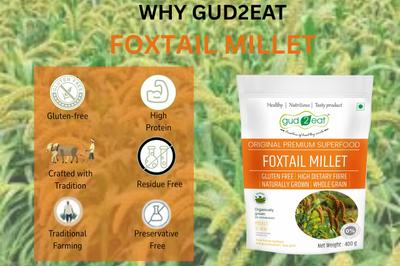 Foxtail Millet