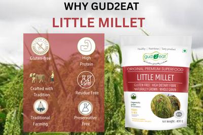 Little Millet