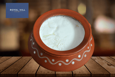 Matka Dahi