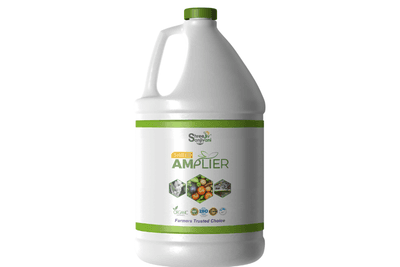 SHREE AMPLIER