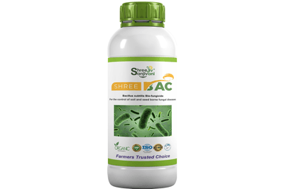 SHREE BAC