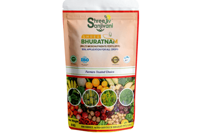 SHREE BHURATNAM
