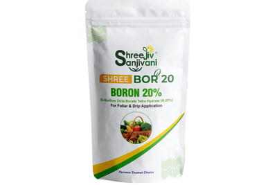  SHREE BOR 20