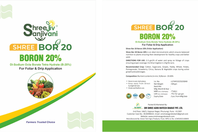  SHREE BOR 20