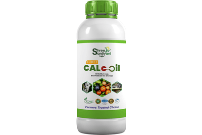 SHREE CALCIL