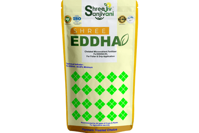SHREE EDDHA