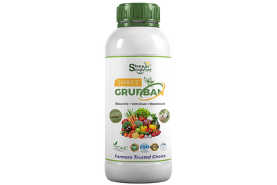 SHREE GRUBBAN