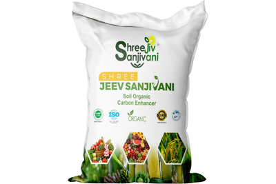 SHREE JEEV SANJIVANI