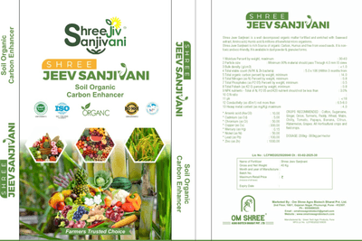 SHREE JEEV SANJIVANI