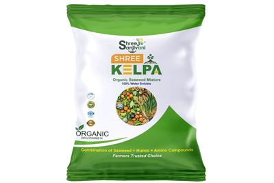 SHREE KELPA