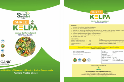 SHREE KELPA