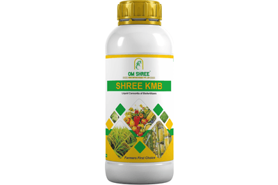 SHREE KMB