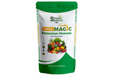 SHREE MAGIC
