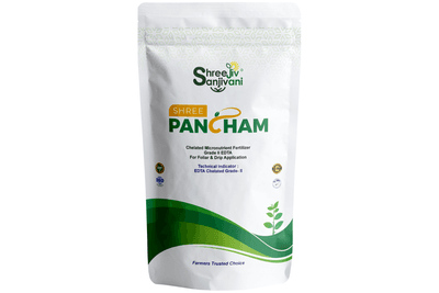 SHREE PANCHAM