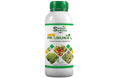 SHREE PRAMUKH