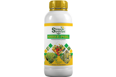 SHREE PSB