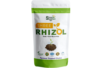 SHREE RHIZOL