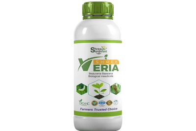  SHREE VERIA