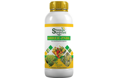 SHREE ZNB