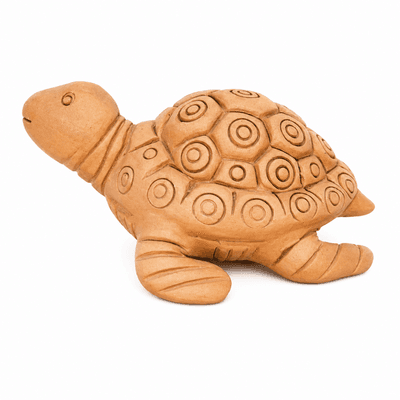 Small Tortoise