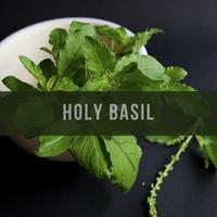 Himalayan Dried Holy Basil